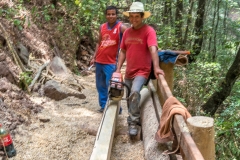 Cutting-down-a-tree-at-Tuliman