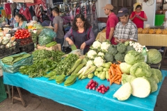 Vegetable-stand
