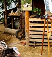 Painter and his critic