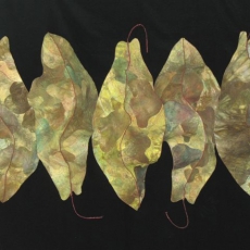 Leaf Fall by Barbara Schneider