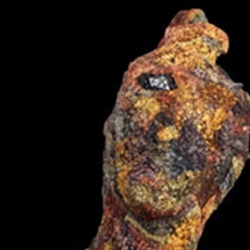 Identity by Michelle Sales