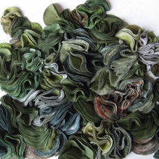 Korean Mountains by Hyang Sook Cho Lee