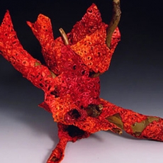 Burn by Michelle Sales