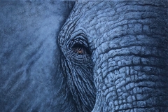 Laurie Walker, Blue Elephant