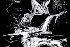 Member's Show Poster 2010